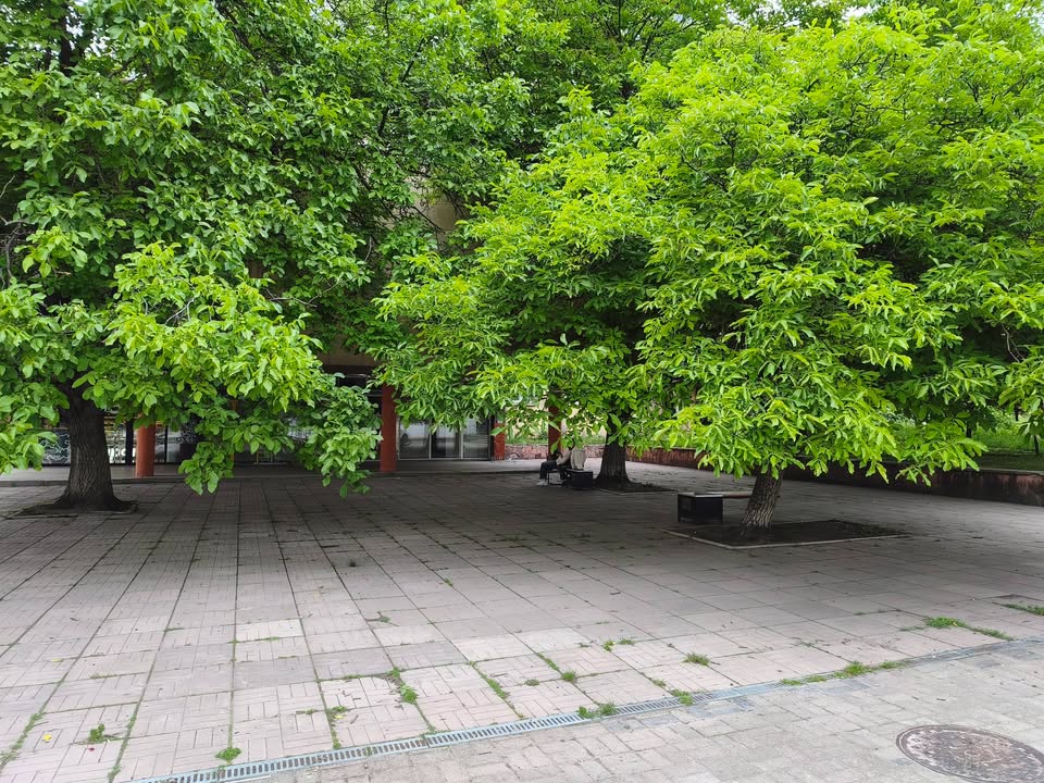 Львів, міський простір
