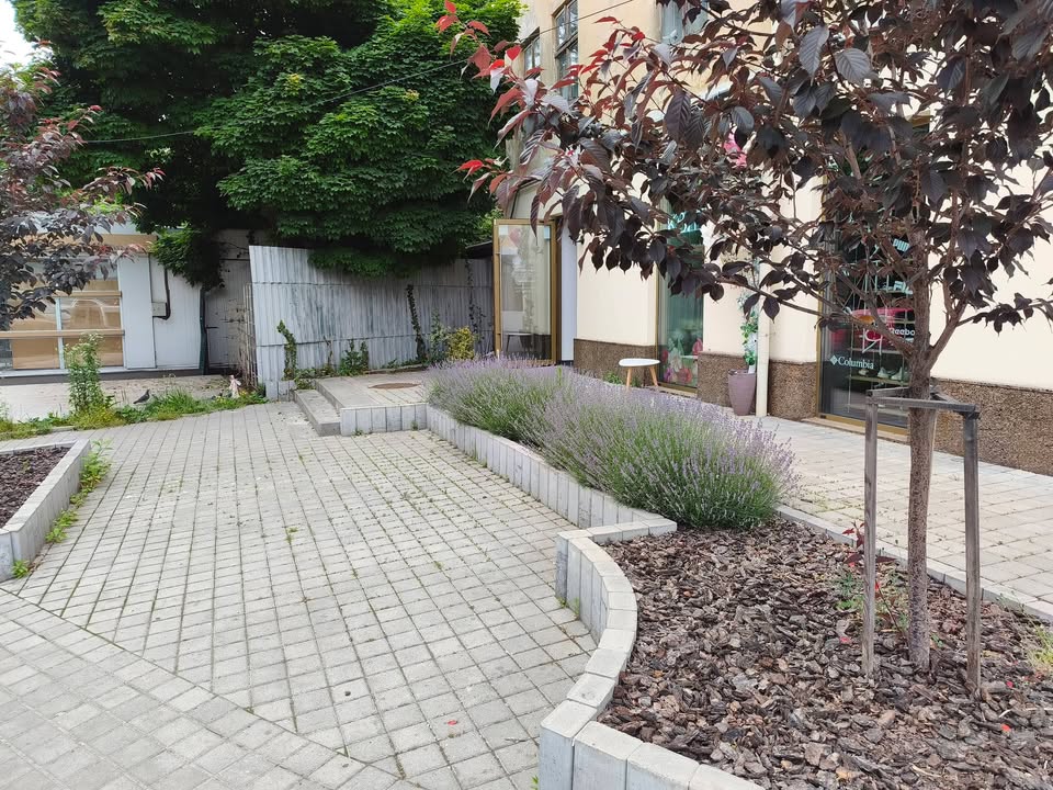 Львів, міський простір
