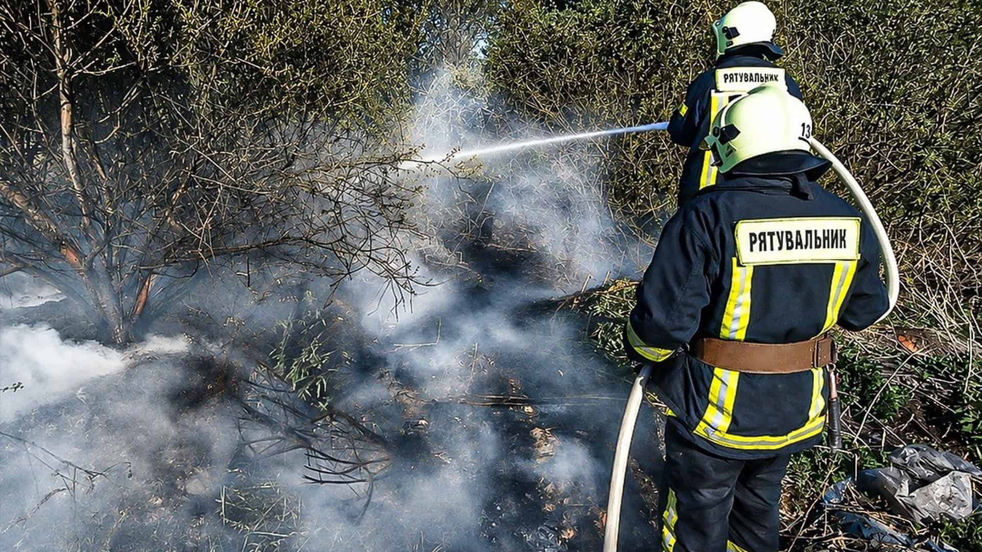 Рятувальники ДСНС гасять пожежу, ілюстративне фото до новини про ліквідацію 28 пожеж на Львівщині за добу