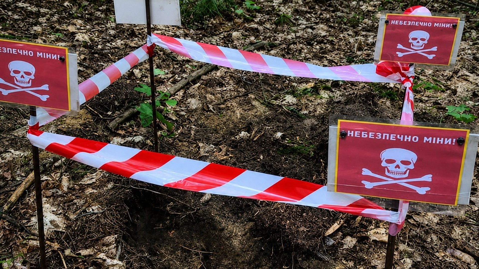 Піротехніки ДСНС Львівщини знищують мінометну міну часів Другої світової, знайдену в лісі біля Бортятина на Яворівщині