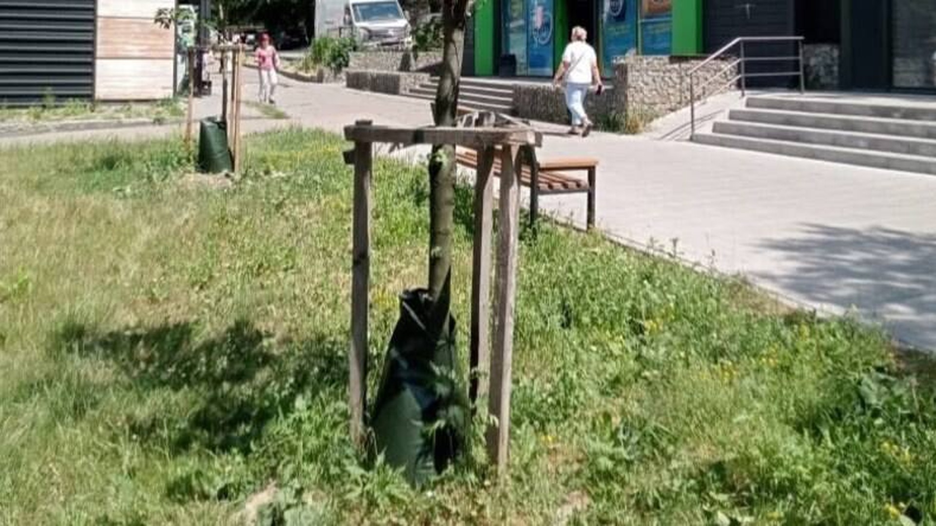 Комунальники Львова встановили понад 500 поливальних мішків для дерев на вулицях і в парках міста під час спеки