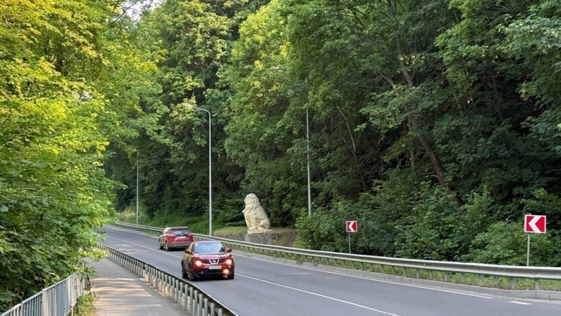 На в'їзді до Львова зріжуть понад 50 дерев уздовж 300 метрів дороги для будівництва підпірної стінки