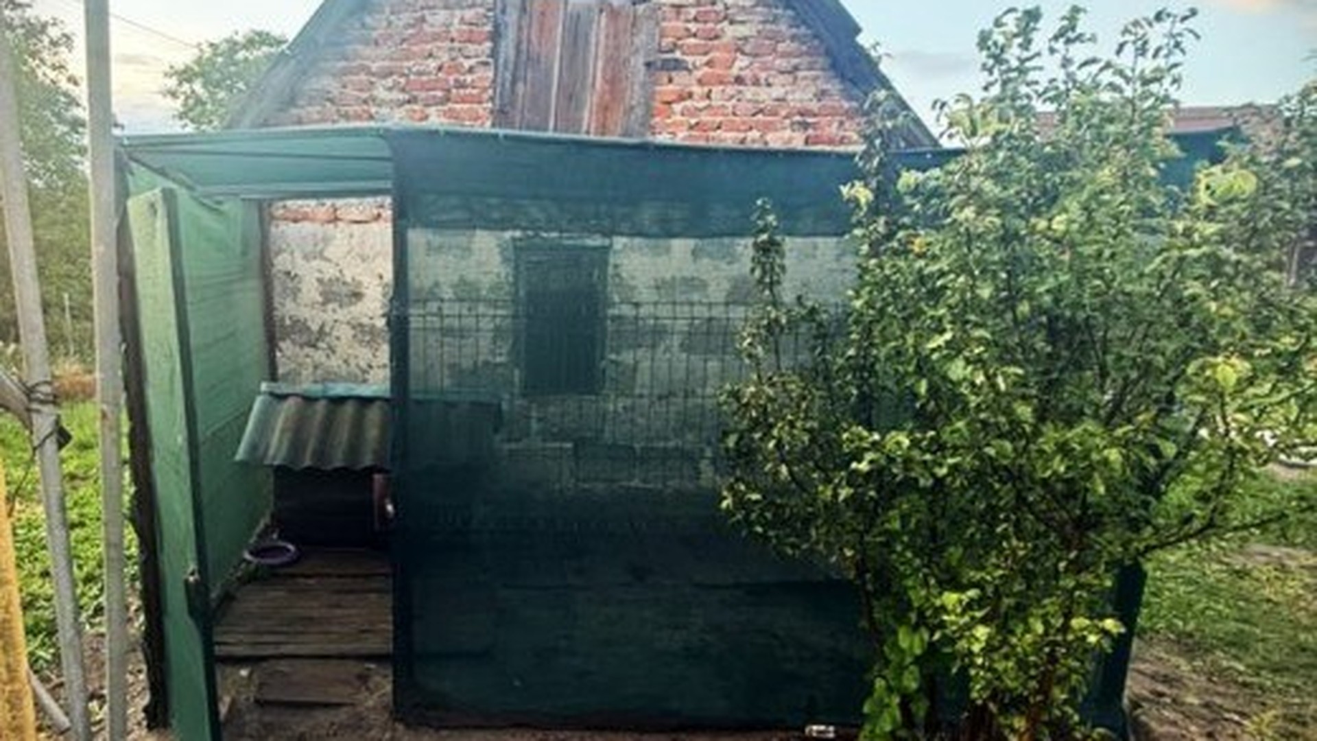 Вівчарка Барон, якого 43-річний п'яний львів'янин поранив ножем і вилами, загинув у ветклініці Львова