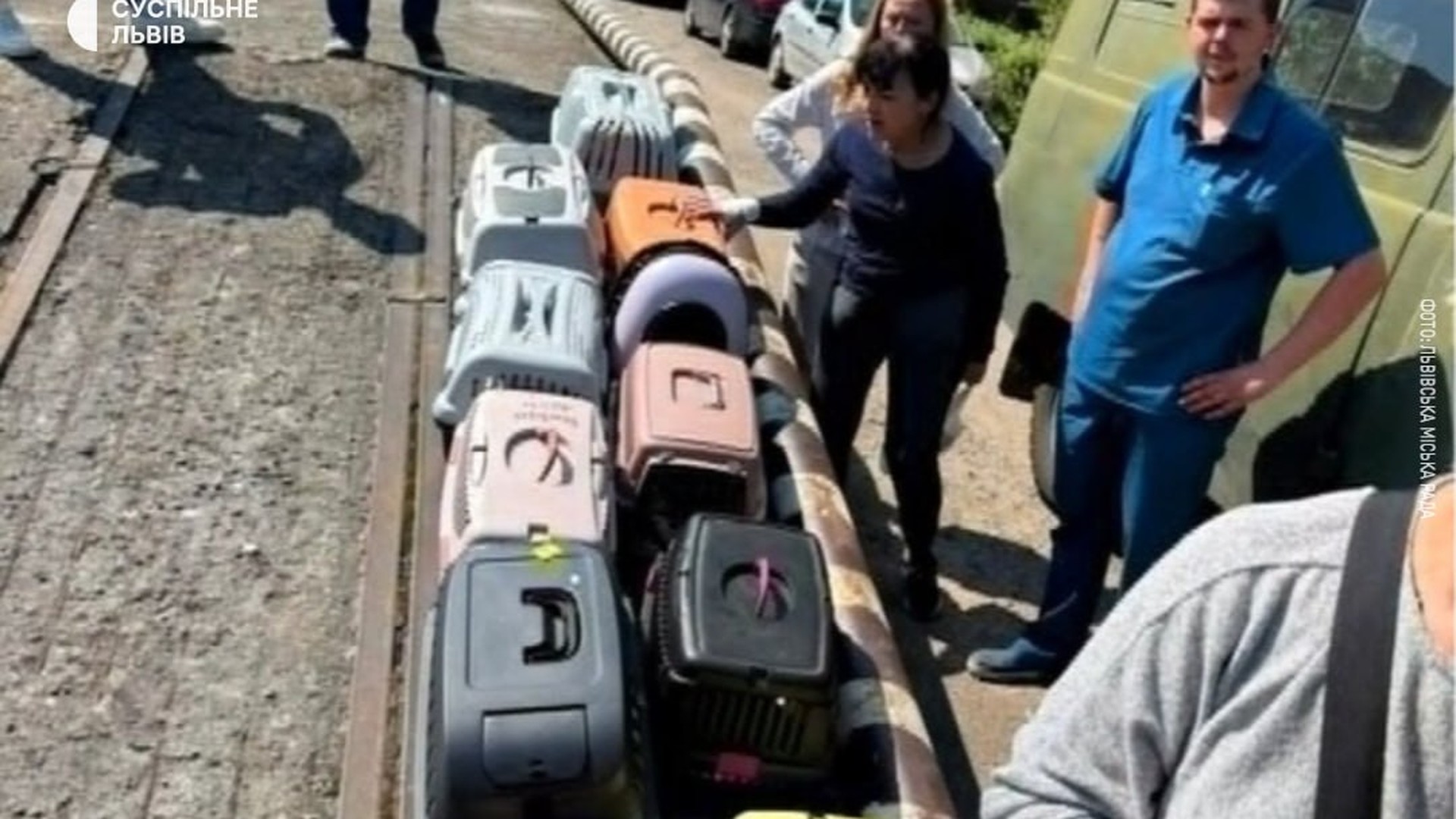Модульне містечко на вулиці Пулюя у Львові, де тимчасово оселилася сім'я з двома дітьми та 14 котами після ракетного удару РФ