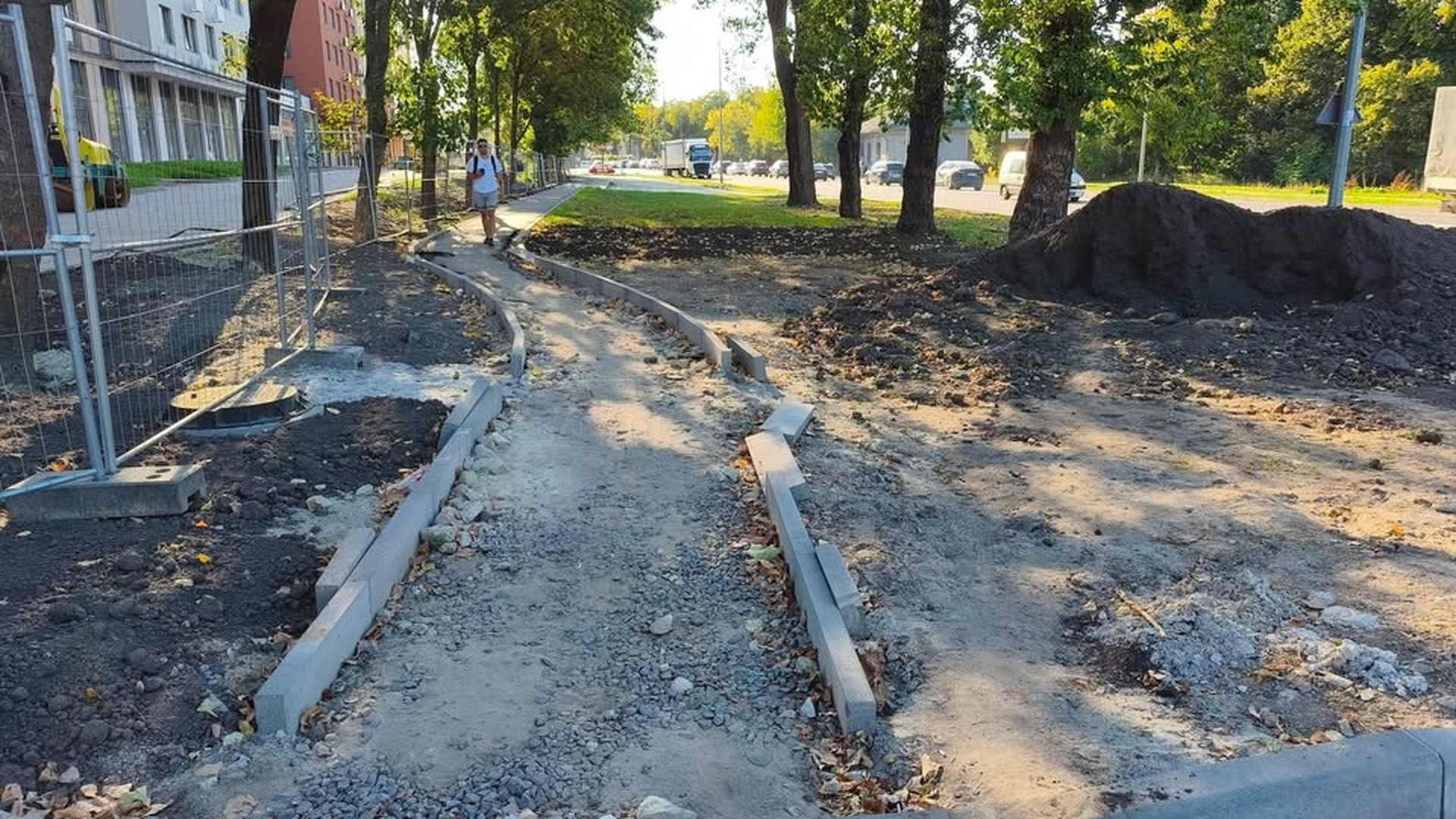 Вулиця Липинського у Львові: дерева засипані землею біля незаконно збудованої парковки без захисних конструкцій навколо стовбурів