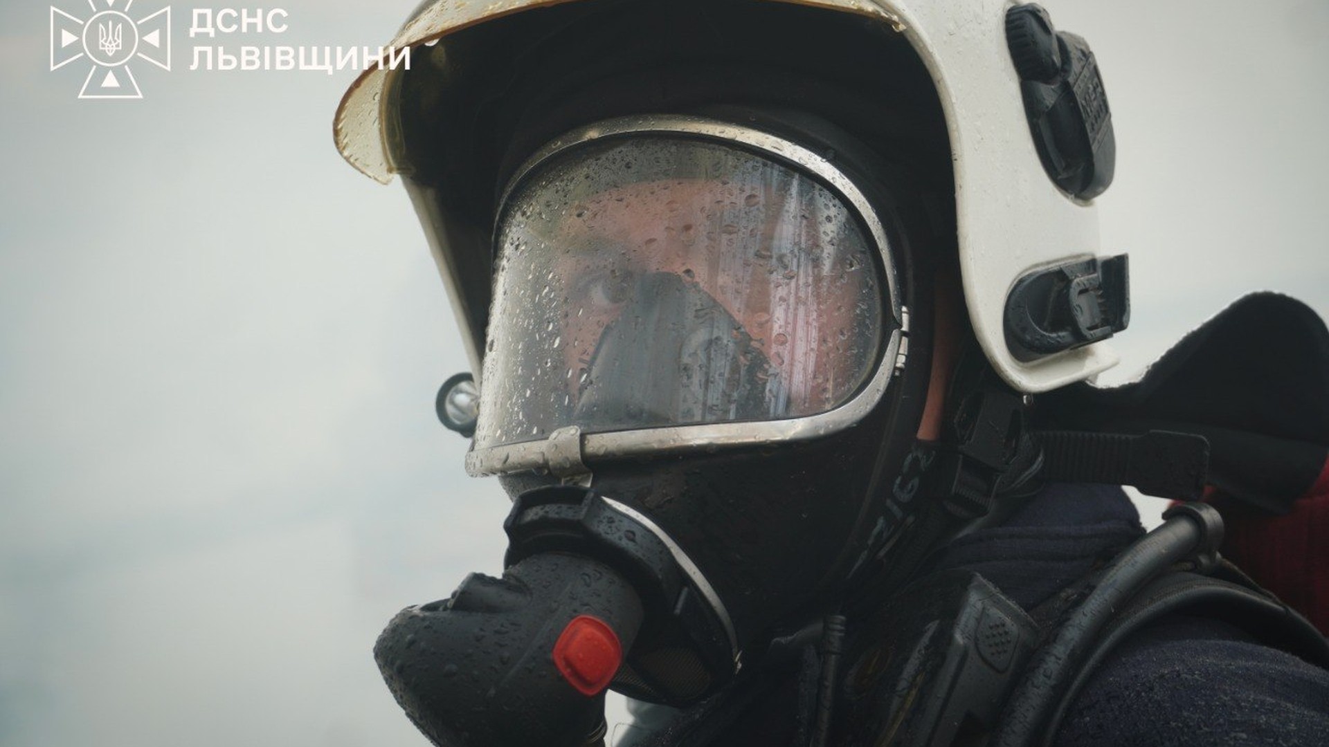 Рятувальники ДСНС Львівщини гасять пожежу в екосистемі — за добу ліквідовано 14 займань, шість серед них трапилися в природному середовищі