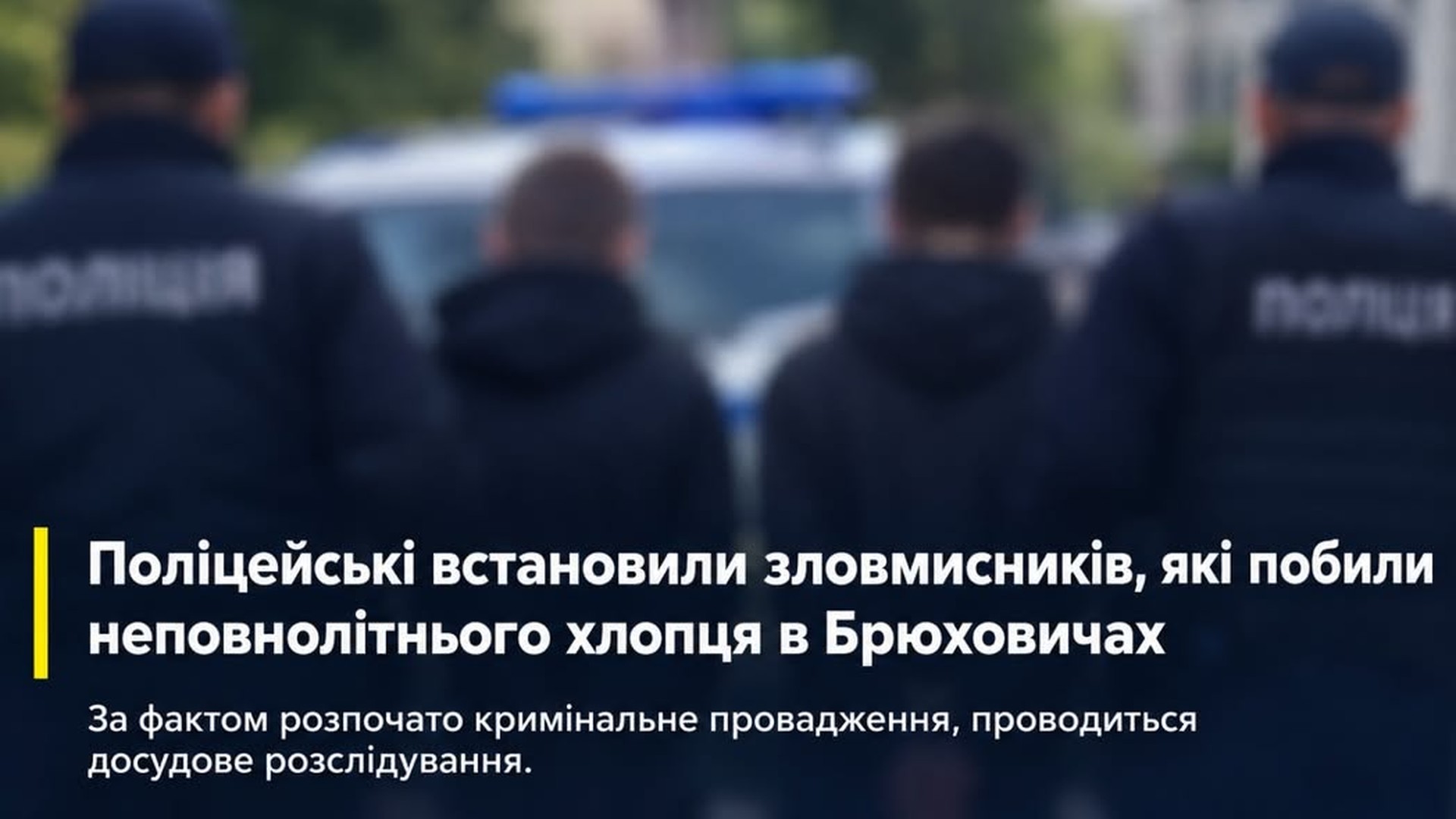 Поліцейські встановили двох 20-річних чоловіків, які побили 15-річного підлітка в Брюховичах на Львівщині