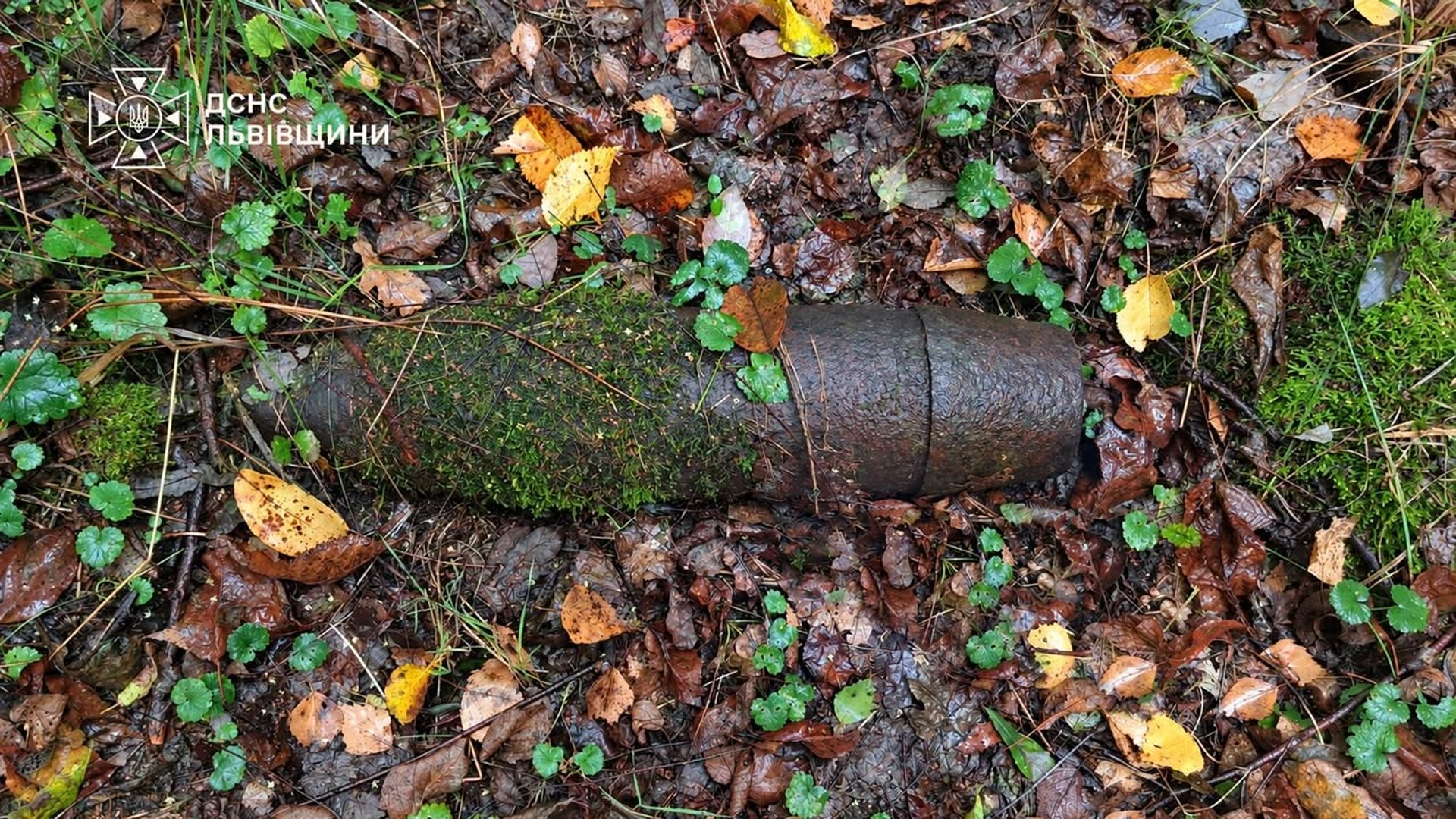 Сапери ДСНС Львівщини знищують 152-мм артилерійський снаряд часів Другої світової, знайдений у лісі поблизу села Руда Стрийського району