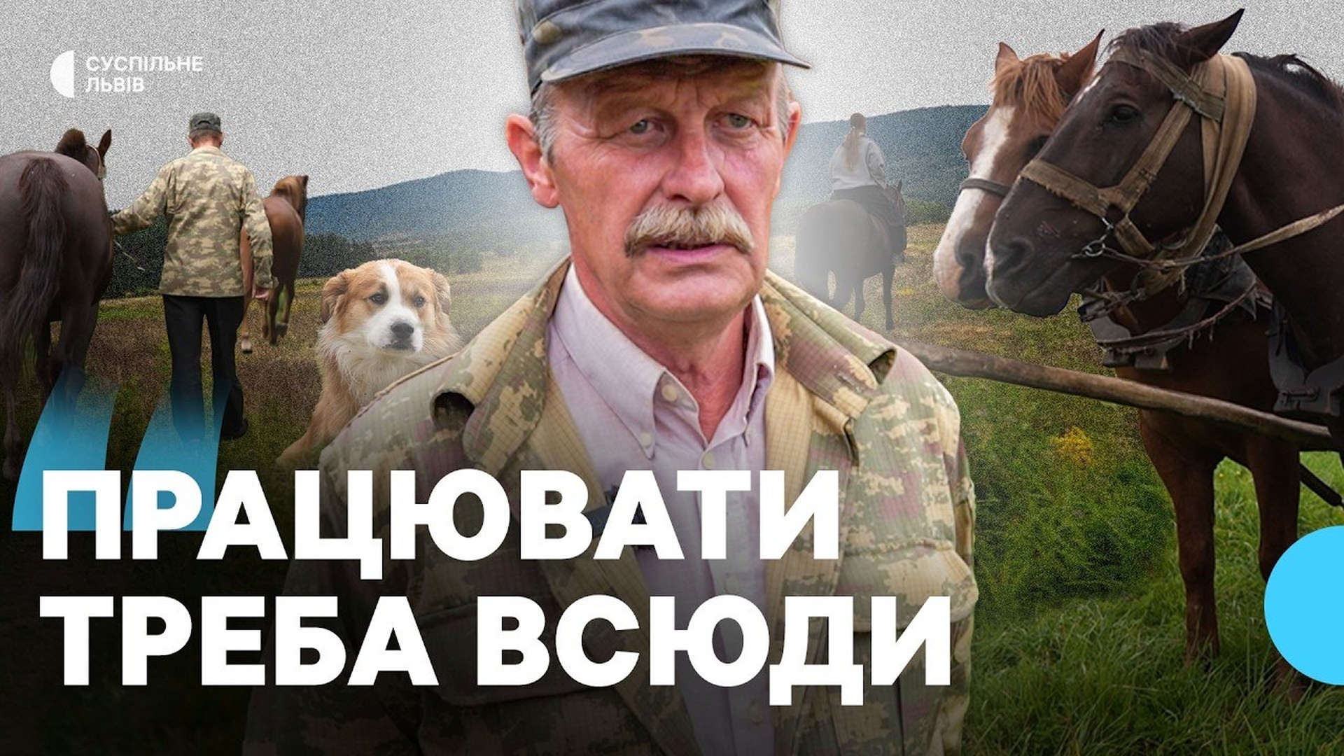 Фірман Ярослав Стецькович із 25-річним конем Максимом у селі Мшанець на Самбірщині обробляє землю та перевозить врожай