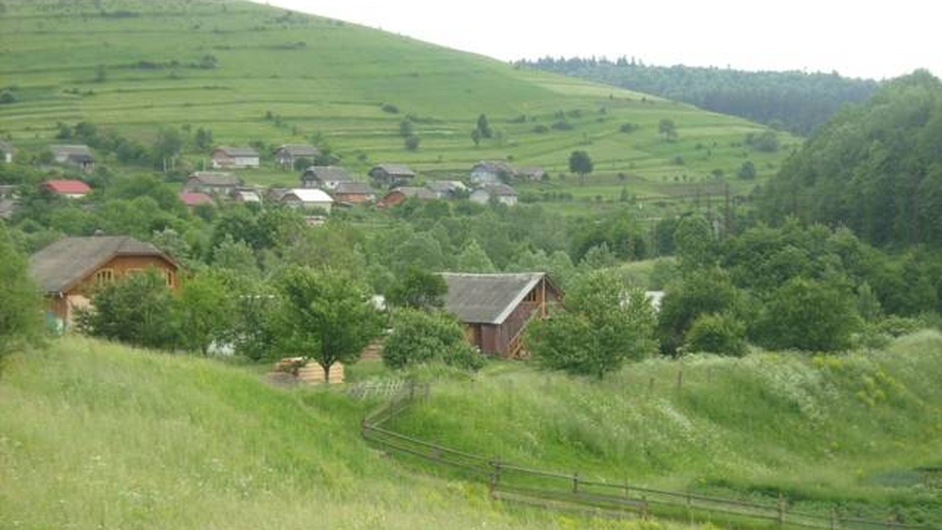 Уламки російського безпілотника у полі на Стрийщині, де їх виявили 22 жовтня без постраждалих