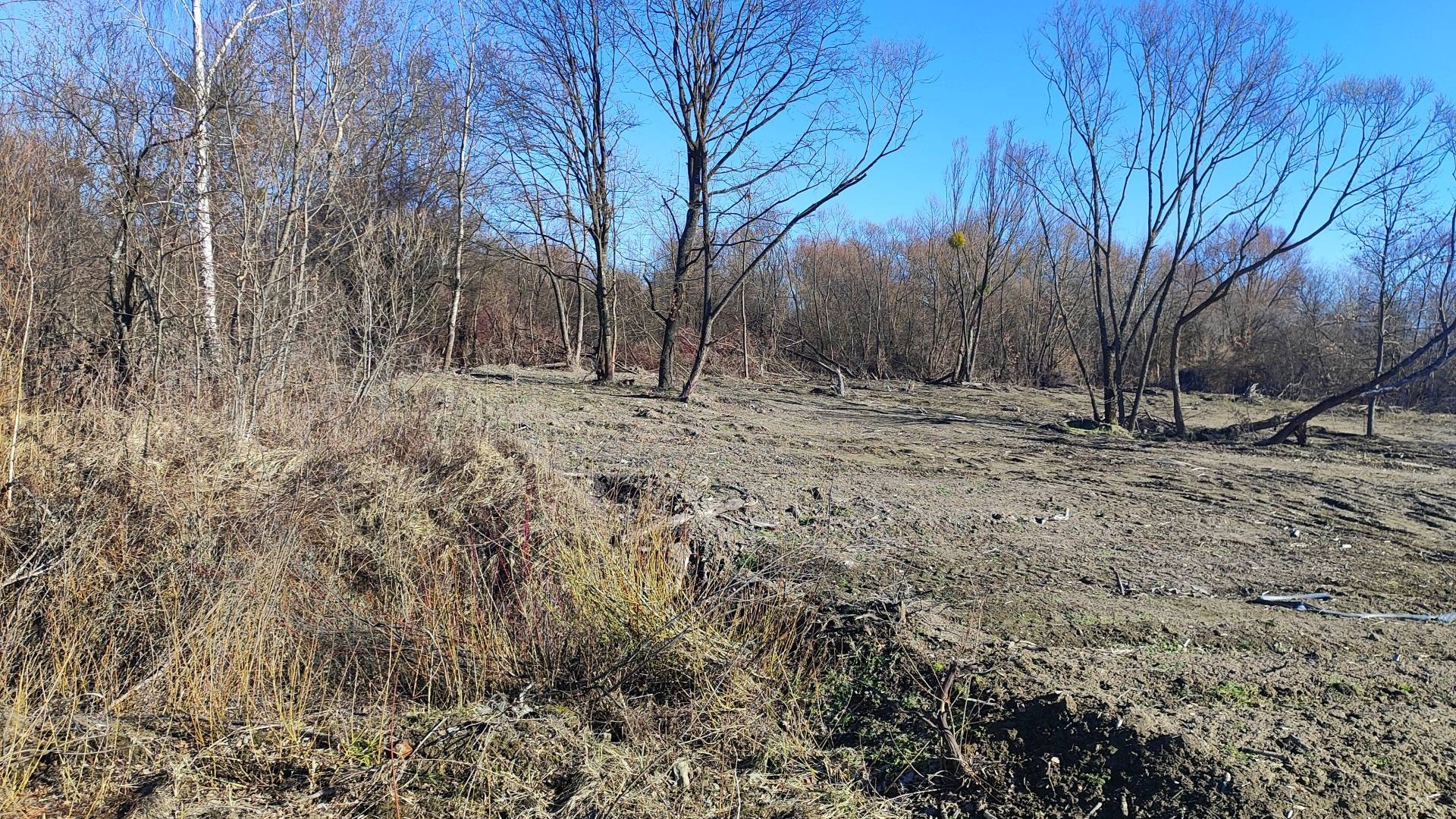 Промислова зона Сигнівка у Залізничному районі Львова, де ділянку 2,28 га виставляють на аукціон за 39 млн грн