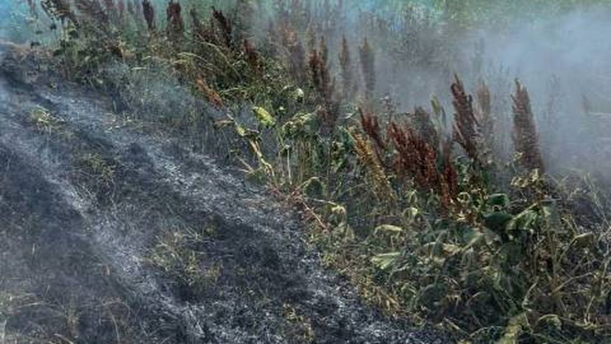 Пожежники гасять пожежу сухої трави на Львівщині — за добу зафіксовано 27 загорань площею 1,6 гектара