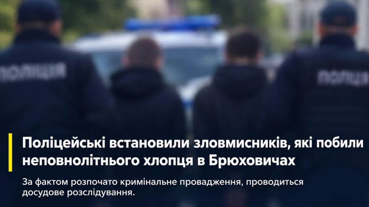 Поліцейські встановили двох 20-річних чоловіків, які побили 15-річного підлітка в Брюховичах на Львівщині