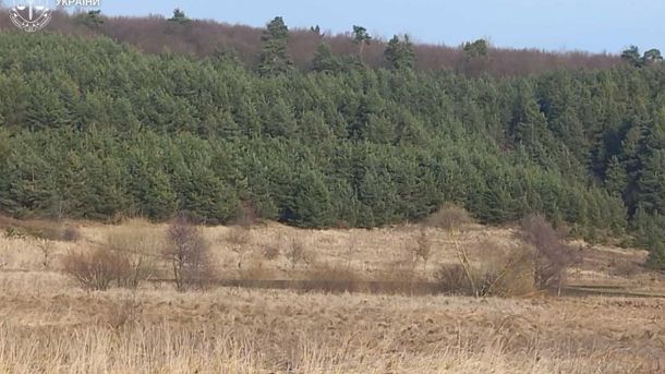Лісовий масив на Перемишлянщині — майже 81 га самозалісених земель взяли під правовий захист після втручання прокуратури