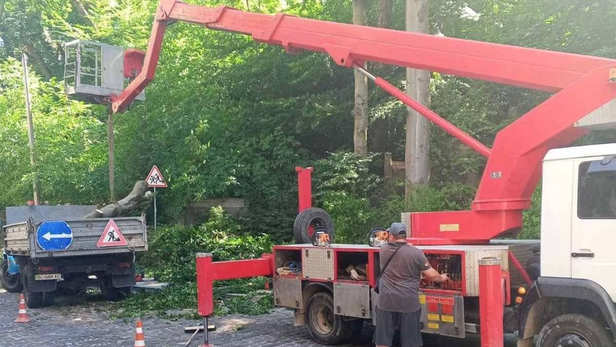Впале дерево на вулиці Івана Франка 138 у Львові — аварійна бригада ліквідовує наслідки, частина дерева зависла