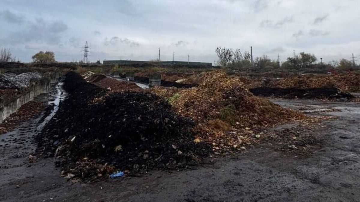 Львівська міська станція компостування приймає перші партії опалого листя від мешканців і ОСББ