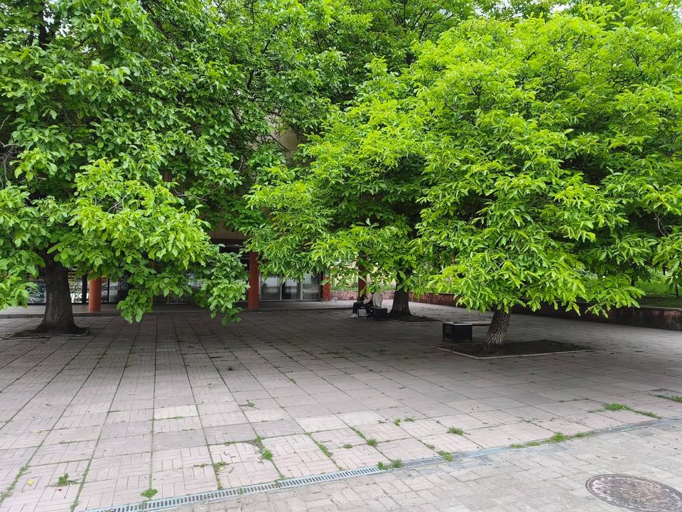 Львів, міський простір