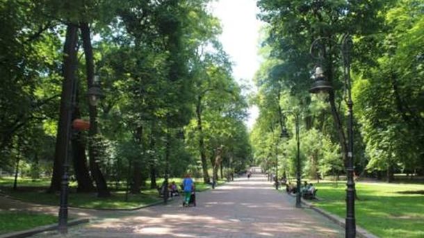 Попередження про хворобу Лайма на Львівщині: у липні 131 випадок після укусів кліщів у міських парках
