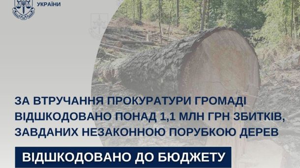 Зрубані дерева в лісі на Львівщині — 134 стовбури різних порід, збитки громаді перевищили 1,1 млн грн
