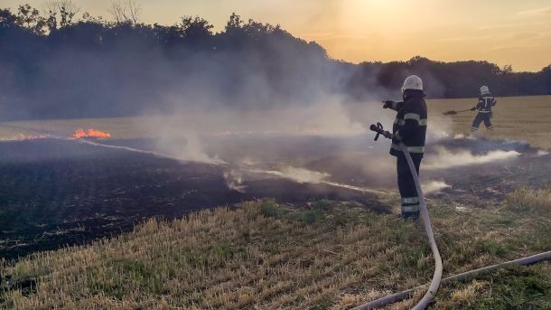 Рятувальники гасять пожежу на торфовищах Львівщини — три осередки на площі понад 10 га
