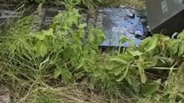 Пошкоджені та повалені пам'ятники на кладовищі у селі Добрячин на Львівщині — зафіксовано понад 25 постраждалих надгробків