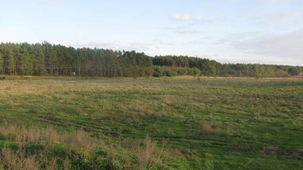 Земельні ділянки у Рясне-Руському площею майже 2,7 га, які суд зобов'язав повернути у комунальну власність Львова після незаконної передачі гаражним к