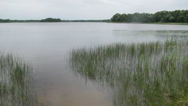 Господарський суд Києва скасував оренду 24,4 га землі з озером у Бродівській громаді та зобов'язав підприємця повернути ділянку державі