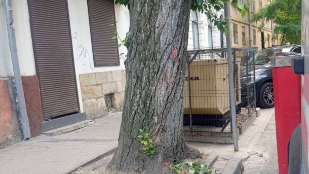 Вулиця Богдана Хмельницького у Львові, де зріжуть дві аварійні тополі та перекриють рух на 4 години