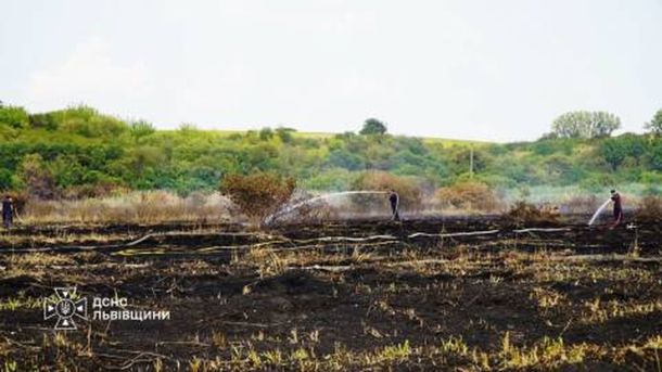 Пожежники гасять пожежу сухої трави на Львівщині — за добу виникло 39 загорянь на площі понад 3,4 гектара
