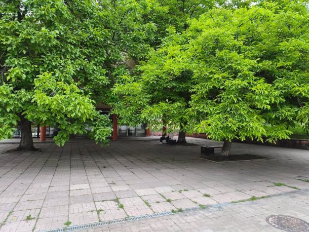 Львів, міський простір