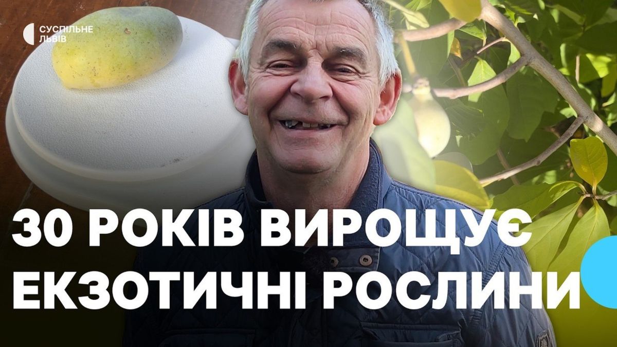 Роман Ожубко з Борислава на Львівщині показує плоди азиміни — «мексиканського банана», вирощеного на власному подвір'ї