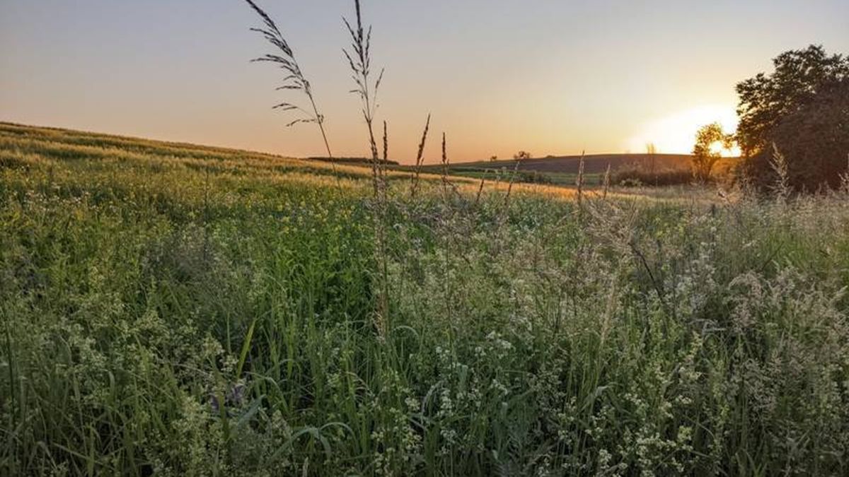 Карта України з позначками влучань після масованої ракетно-дронової атаки Росії вночі 14 жовтня — 167 засобів нападу, влучання на 22 локаціях