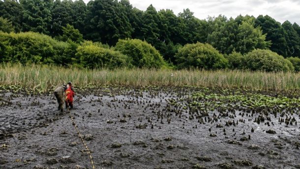Рятувальники ДСНС витягують жінку з болотистої місцевості на ставку у селищі Івано-Франкове на Яворівщині, 21 серпня