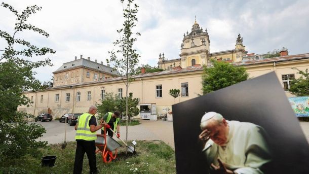 Тюльпанове дерево, висаджене на площі святого Юра у Львові на честь 25-річчя візиту Папи Івана Павла ІІ