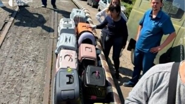 Модульне містечко на вулиці Пулюя у Львові, де тимчасово оселилася сім'я з двома дітьми та 14 котами після ракетного удару РФ