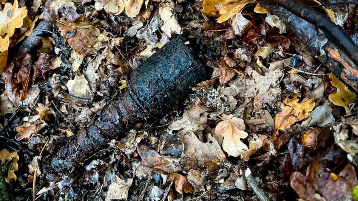 Піротехніки ДСНС Львівщини знищують боєприпаси часів Другої світової, знайдені у Львівському районі у жовтні