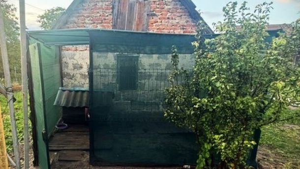 Вівчарка Барон, якого 43-річний п'яний львів'янин поранив ножем і вилами, загинув у ветклініці Львова