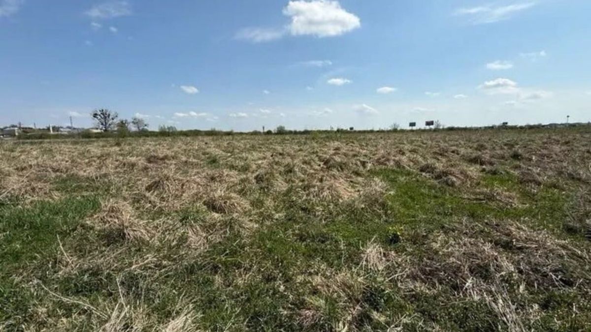 Земельні ділянки у Львові та Малих Підлісках виставлені на електронний аукціон 29 вересня — п'ять об'єктів для бізнесу