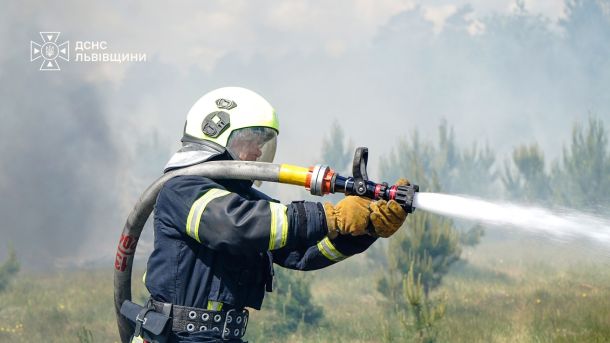 Рятувальники Львівщини ліквідують пожежу в екосистемі — за добу сталося 29 загорянь, 19 з яких у природному середовищі