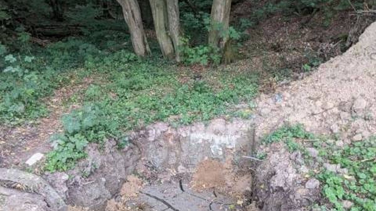 Знищені дерева на межі парку Малоголосківська дебра у Львові поруч із будівельним майданчиком