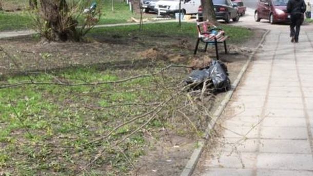 Висадка дерев у Львові в межах акції «Подаруй місту дерево»: підготовлено 878 лунок у парках і на вулицях міста