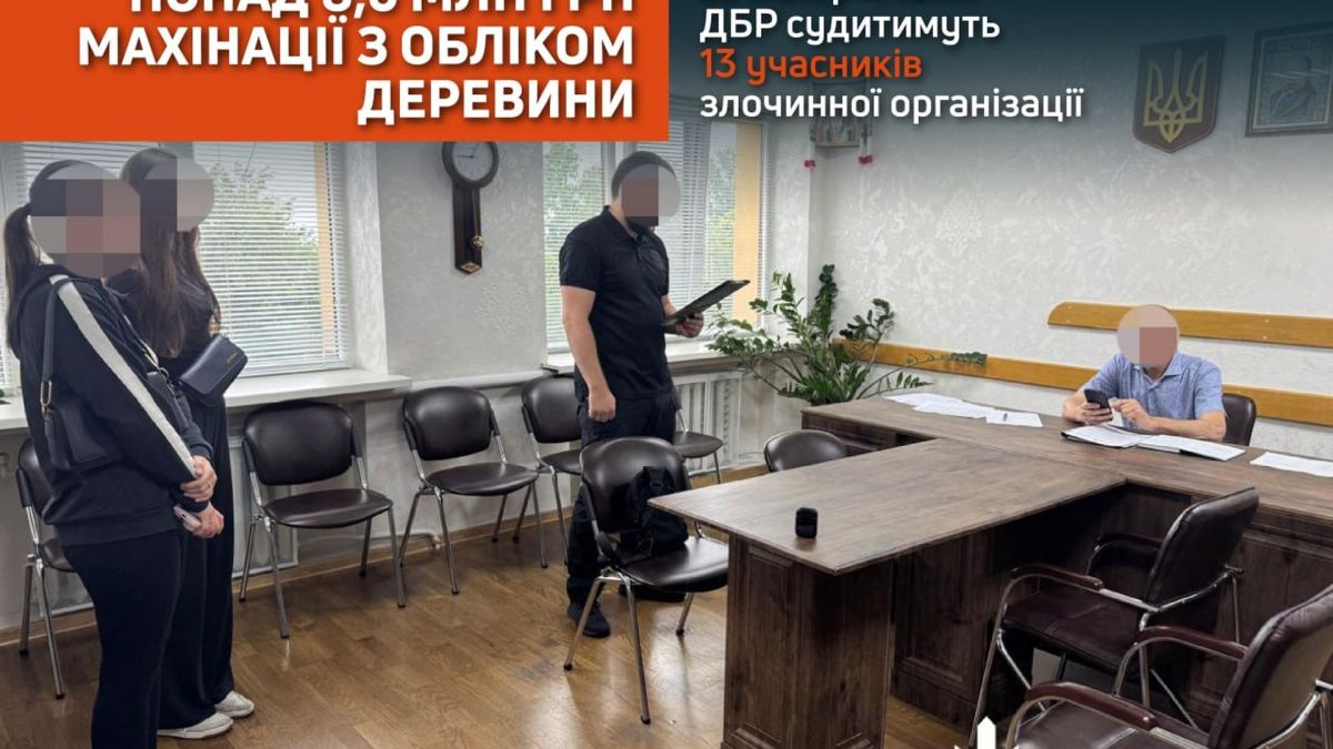 Слідчі ДБР завершили розслідування щодо 13 учасників схеми з незаконного обігу деревини на понад 8,6 млн грн у шести областях