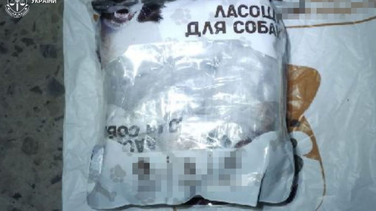 Поштовий оператор затриманий у Львові з рюкзаком, що містив понад 350 пакунків психотропних речовин PVP, екстазі та MDMA