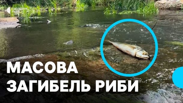 Річка Бережниця на Стрийщині, де після масової загибелі 585 рибин виявили перевищення заліза, хлоридів та амонійного азоту