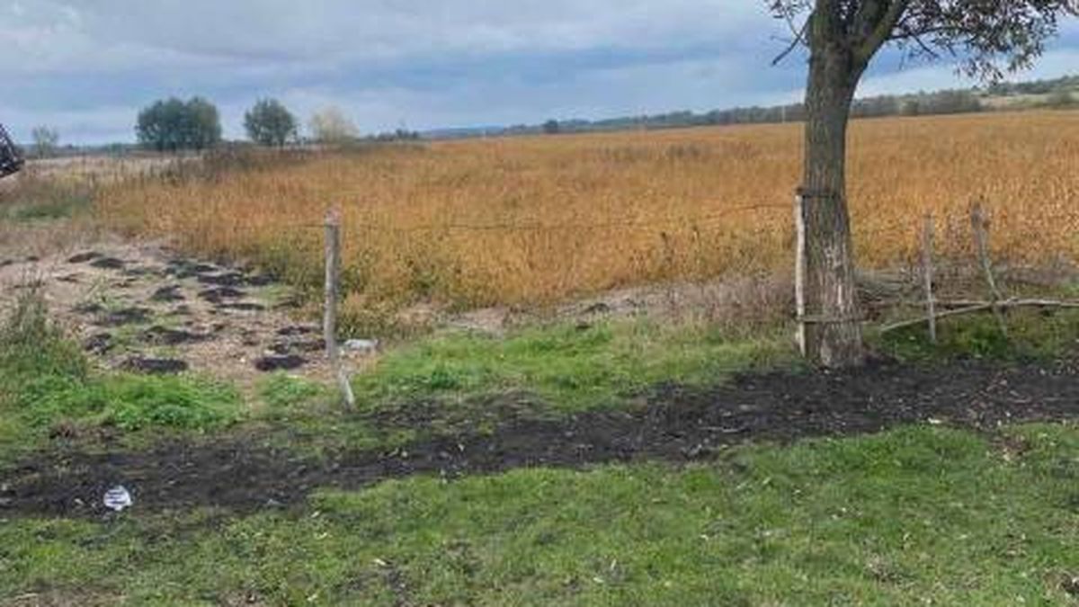 Урочище Помірок у Львівській громаді — суд повернув міськраді 15 га землі, засіяної соєю замість сіножаті