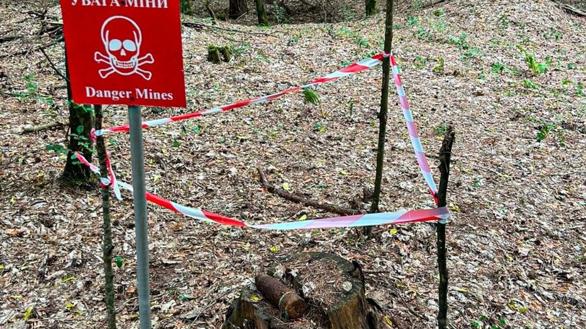 Піротехніки ДСНС знищують 76-мм артилерійський снаряд часів Другої світової війни поблизу села Гаї-Смоленські на Золочівщині